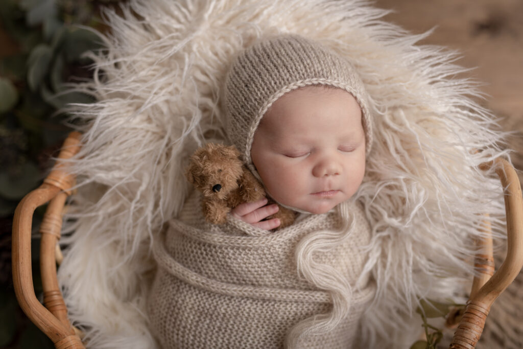 Newborn in basket with bear | Pittsburgh newborn photography studio