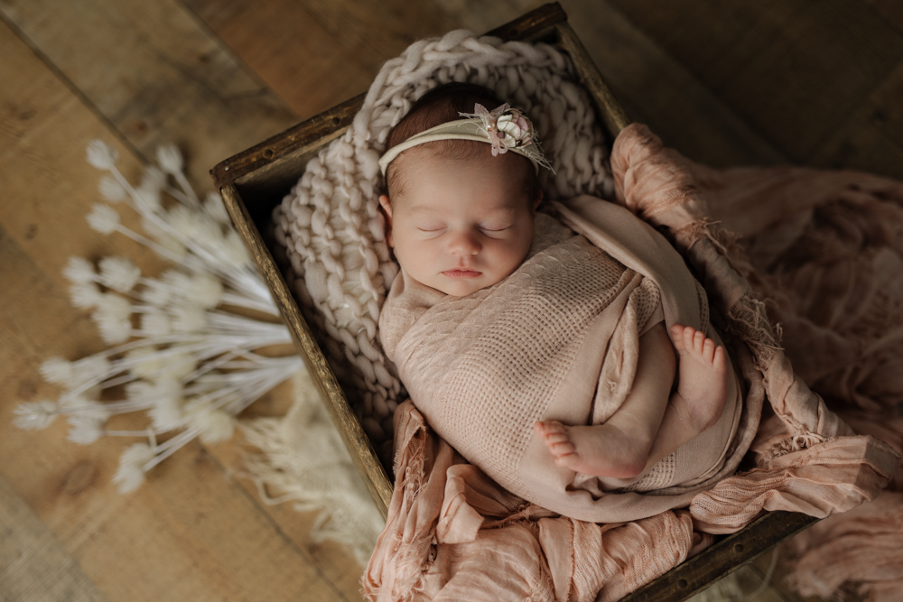 Baby Girl Olivia - McCandless Newborn Photographer