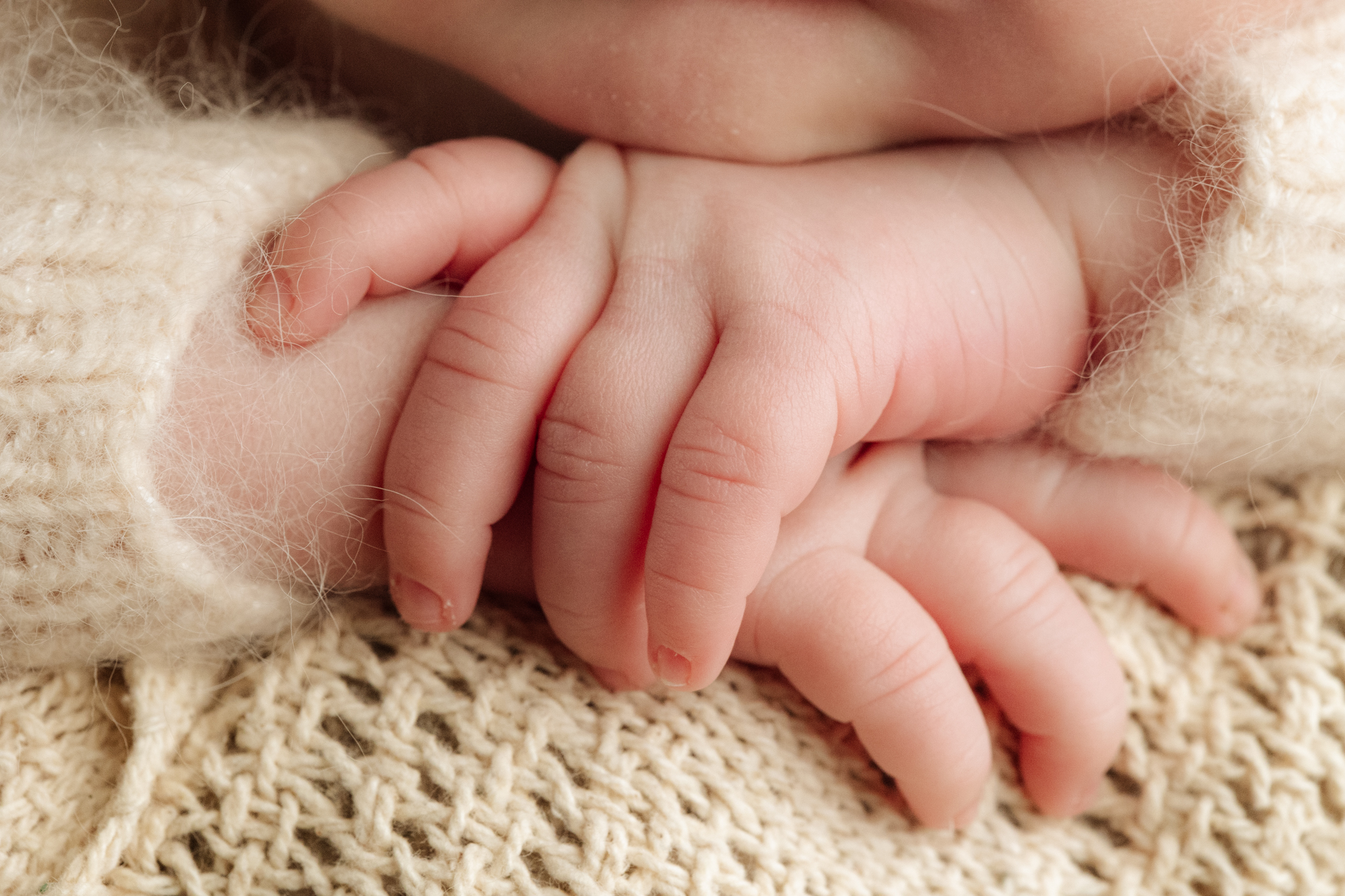 closeup macro shot of newborn hands at Pittsburgh photo studio