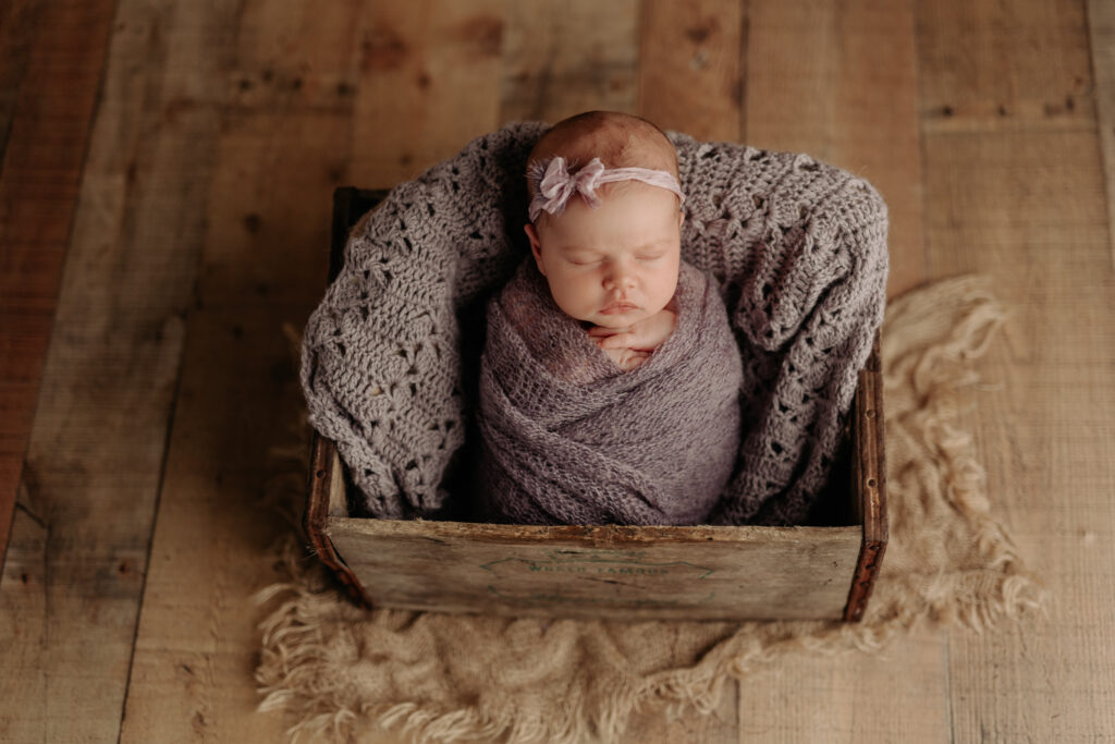 newborn girl in dusty purples at Pittsburgh newborn photography studio