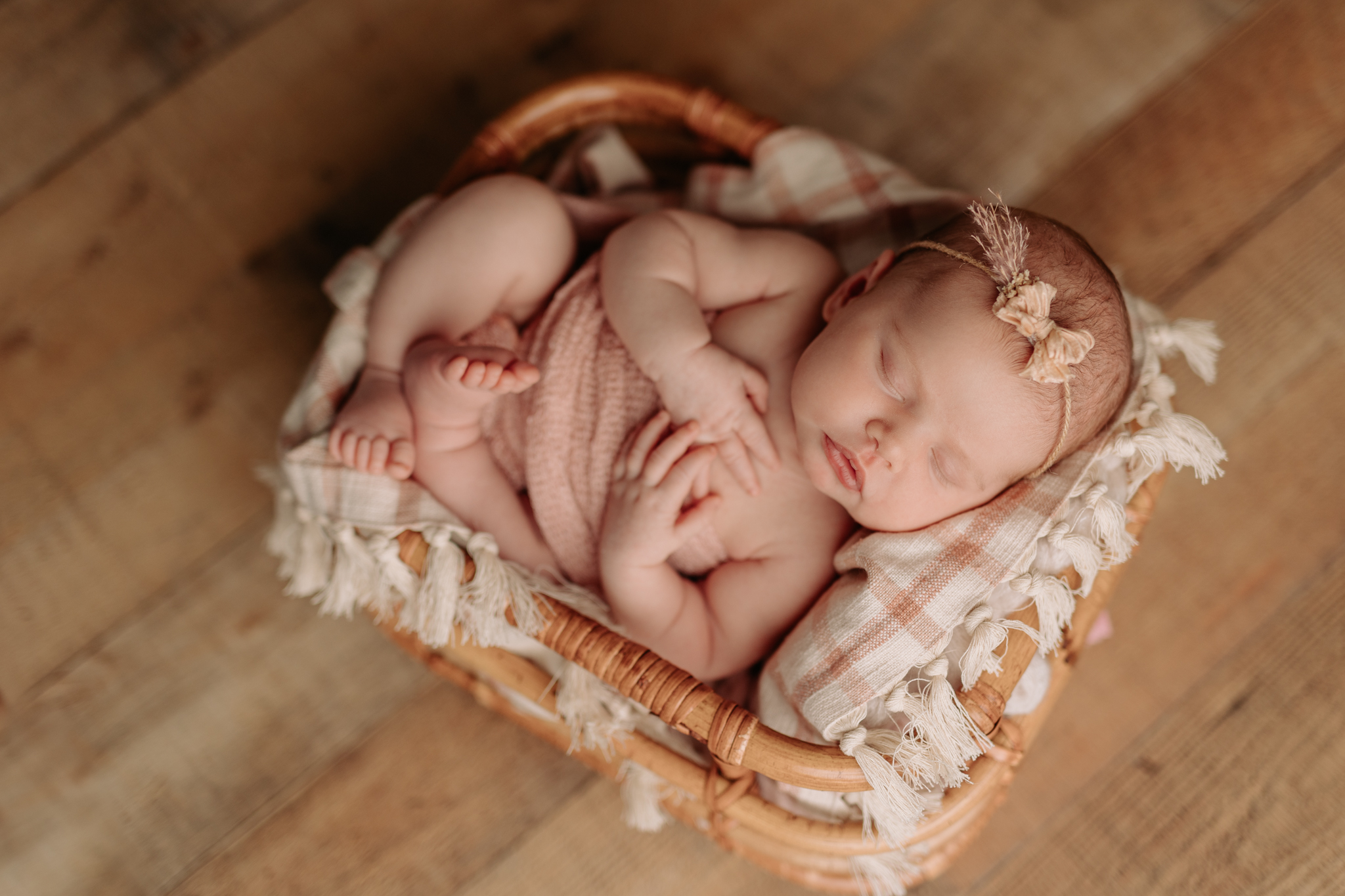 newborn girl in pink and cream at Pittsburgh newborn photography studio