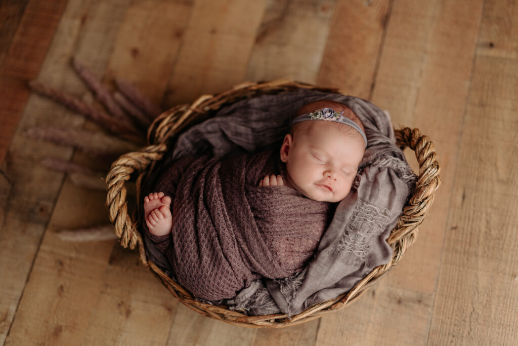 newborn girl in dusty purples at Pittsburgh newborn photography studio