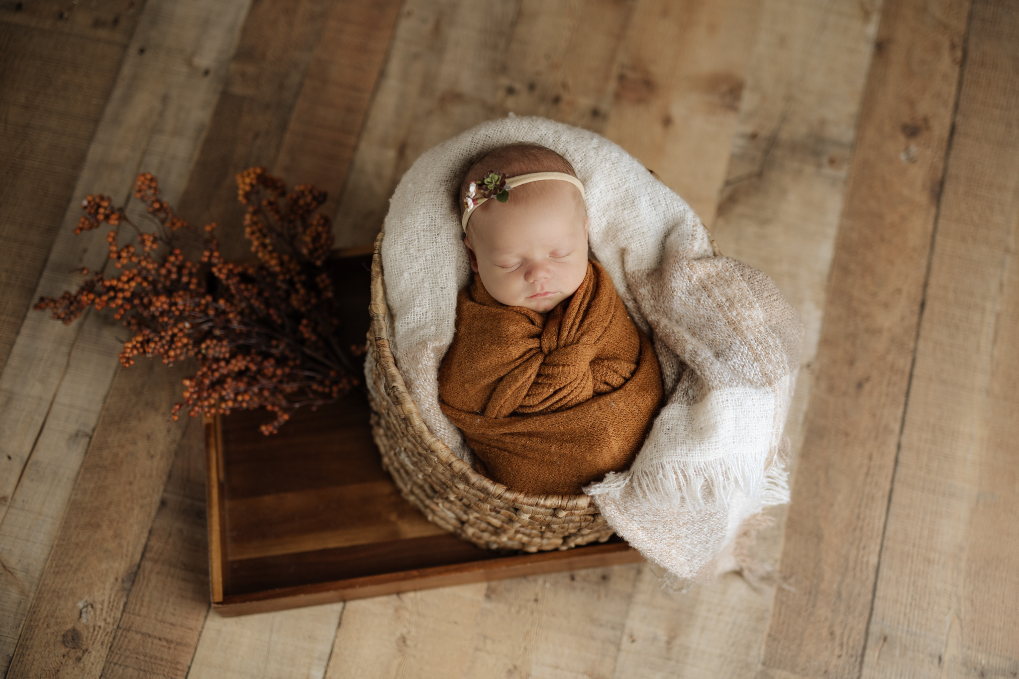 newborn girl in fall colors at newborn photo session in Pittsburgh | Kelly Adrienne Photography