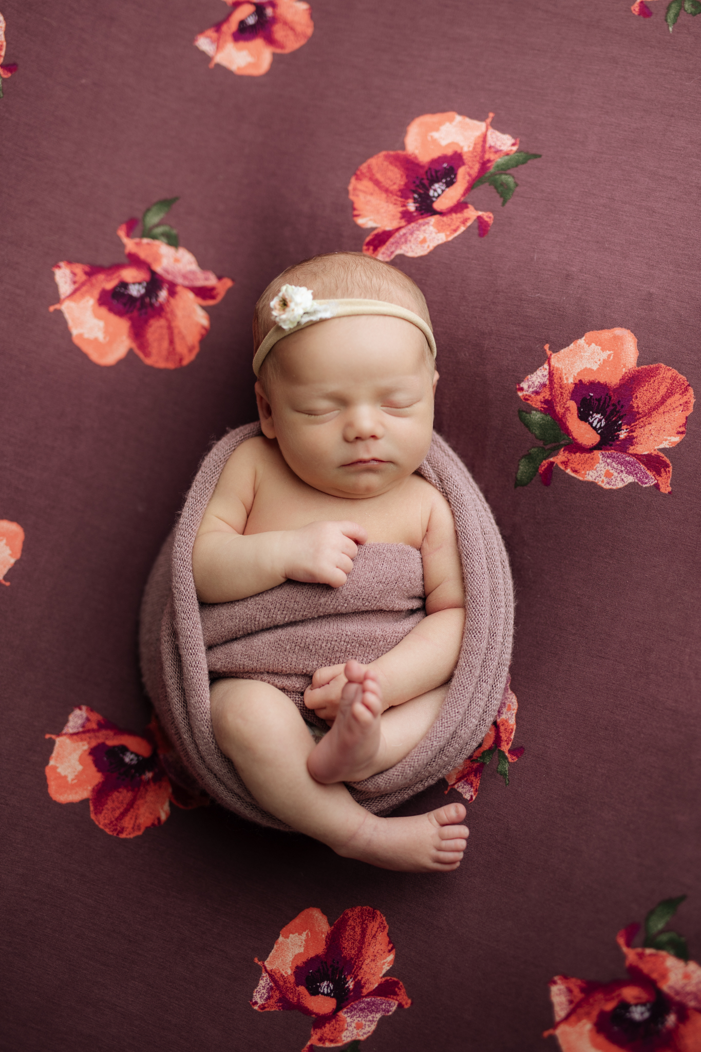 newborn girl on plum floral backdrop at newborn photo session in Pittsburgh | Kelly Adrienne Photography