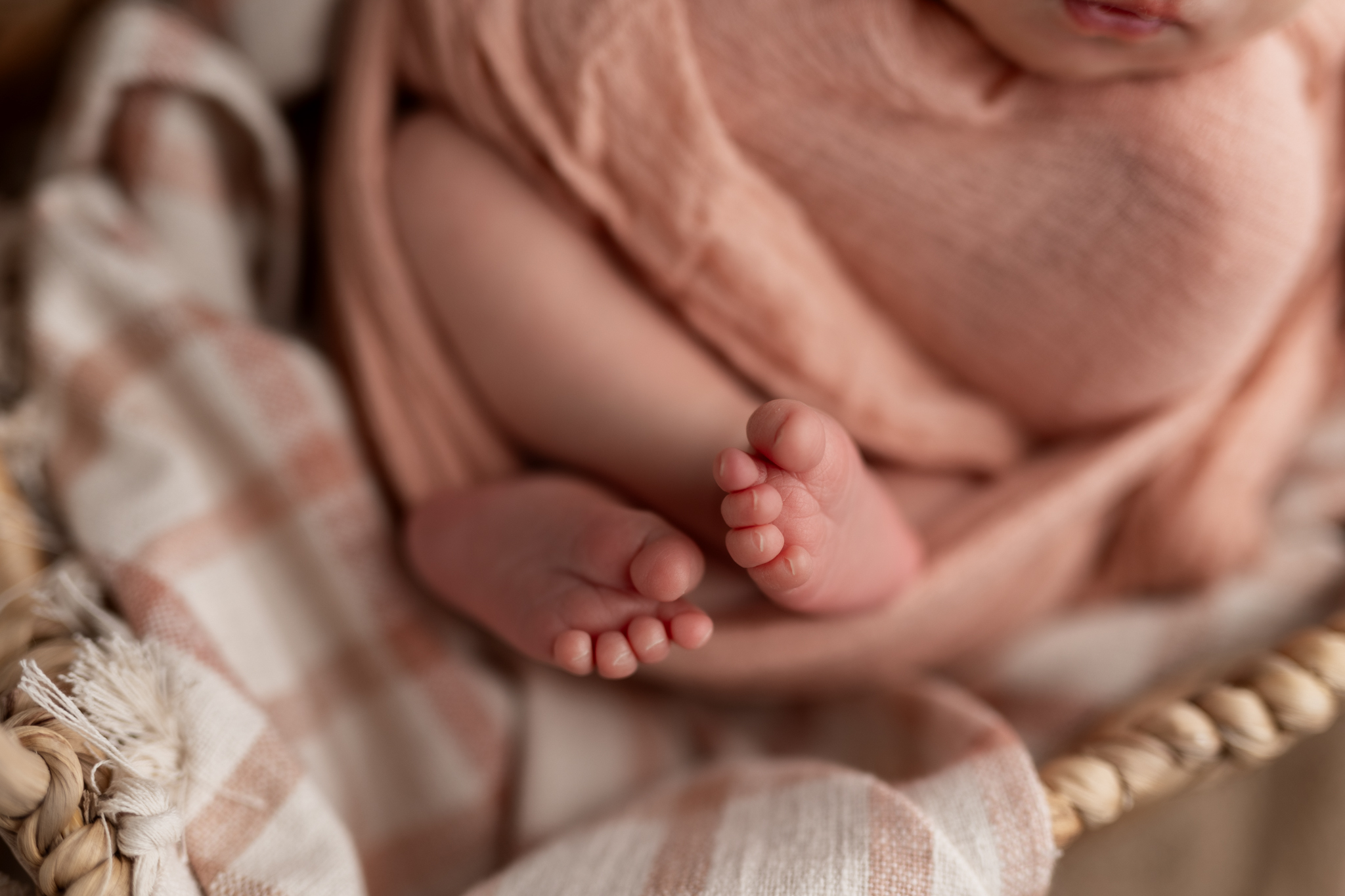 macro shot detail of newborn feet | Kelly Adrienne Photography 