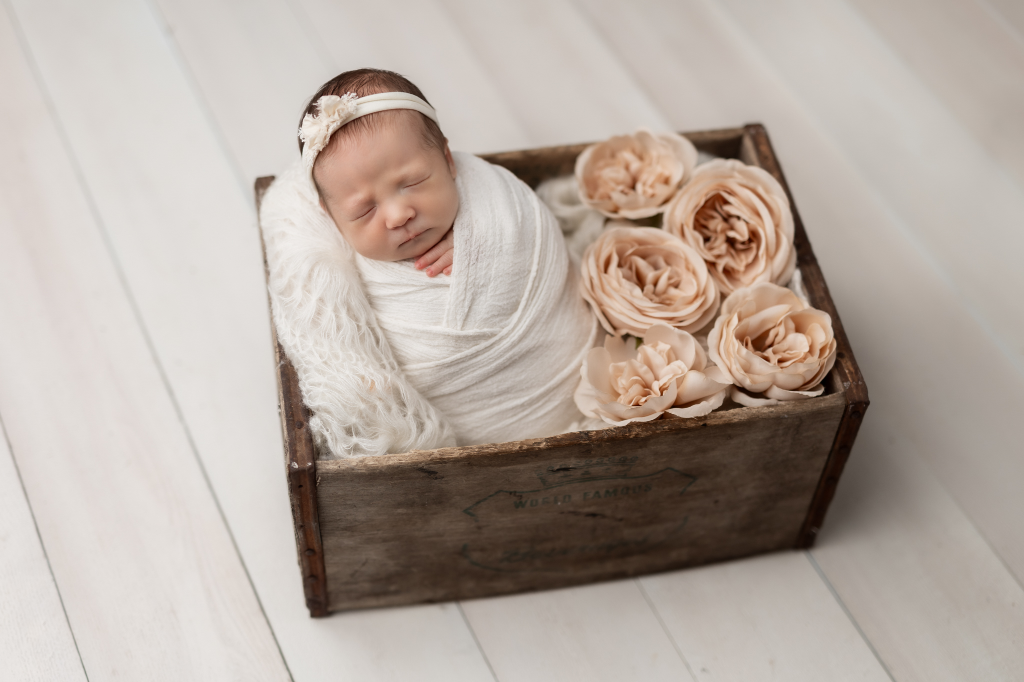 newborn posed in a crate at best newborn photographer in pittsburgh