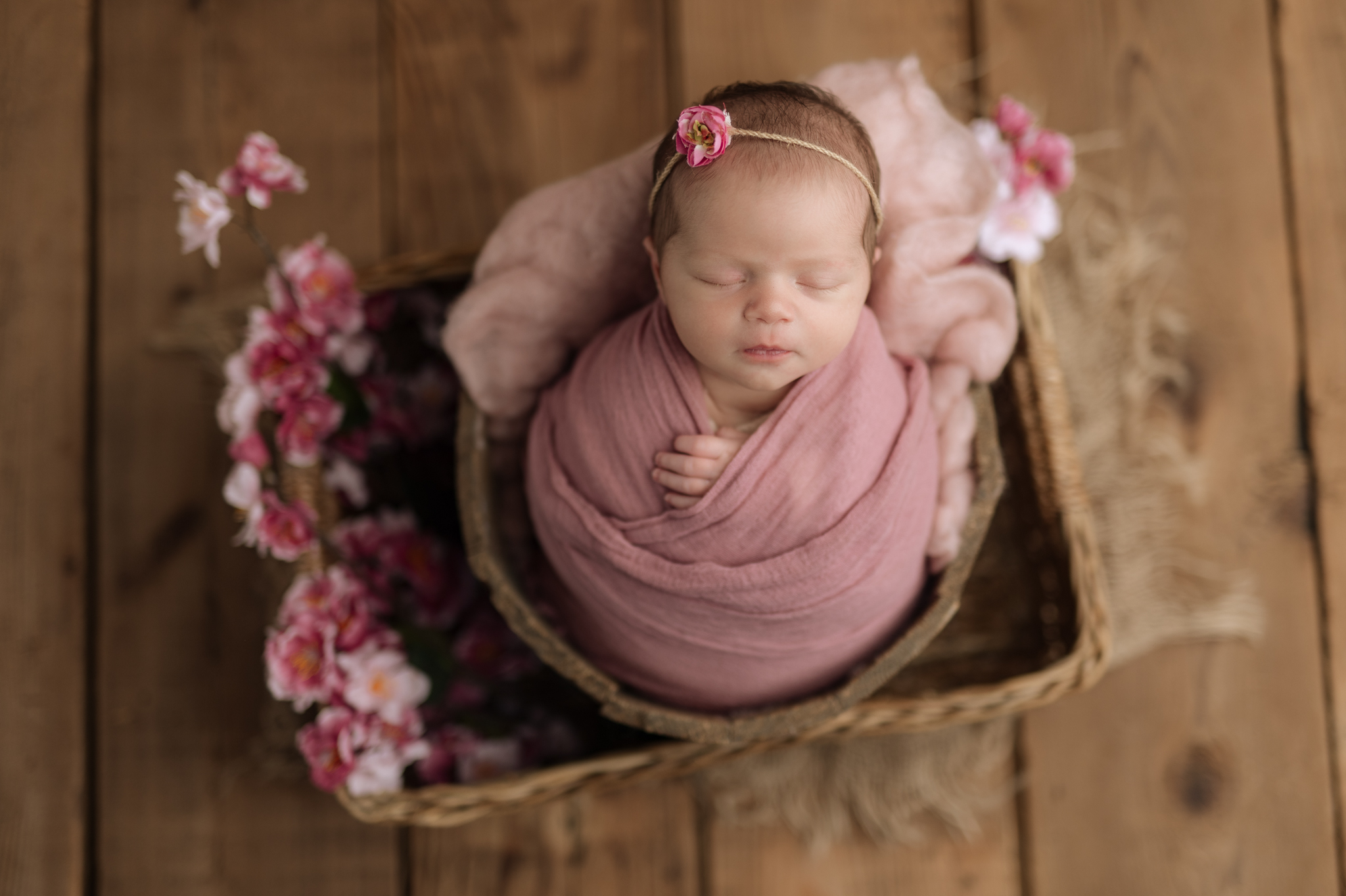 baby girl in prop surrounded by pink flowers in Pittsburgh photo studio