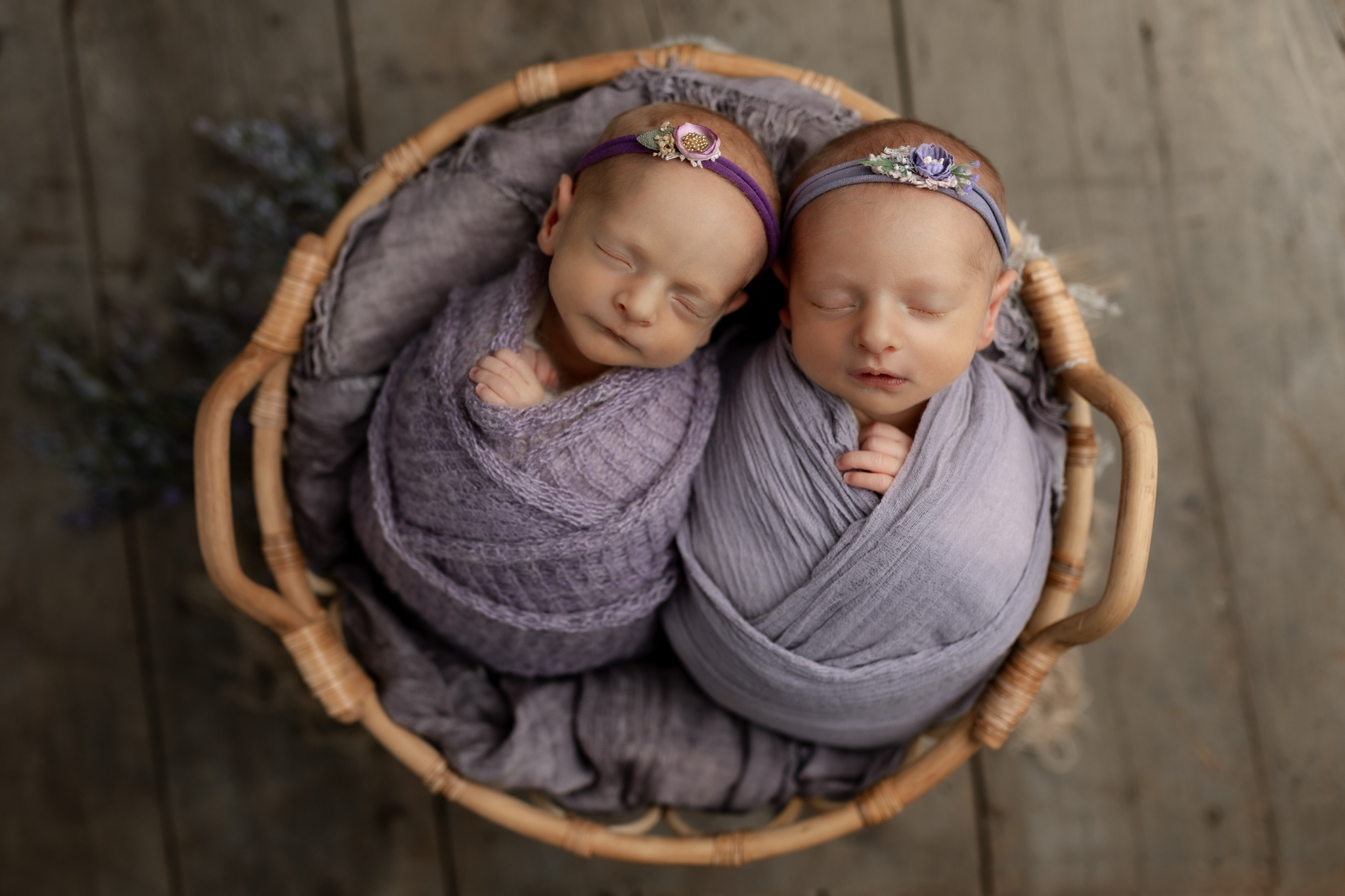 newborn twin girls in purple at photo session